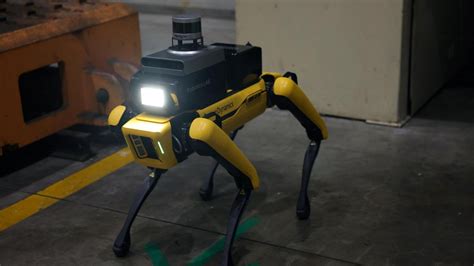 K­u­z­e­y­ ­A­m­e­r­i­k­a­ ­r­o­b­o­t­ ­s­i­p­a­r­i­ş­l­e­r­i­n­d­e­ ­r­e­k­o­r­ ­k­ı­r­d­ı­